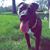 James Jim Severs's profile image