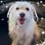 Tracy Molnar's profile image