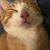 Cynthia Thomas Ward's profile image
