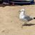 Leigh Ann Stiffler's profile image