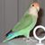 Mina Vahid's profile image