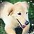 Jennifer O'Neil's profile image