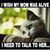 Nelly Roman-Cottes's profile image