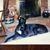 Ruth M. Tuccio's profile image