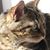 Frannie Belton's profile image