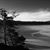 Craig Gillespie's profile image