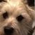 Krista Loercher's profile image