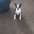 David Buie's profile image