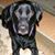 Jim Rohrbough's profile image
