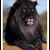 E Eddie Speedy Campbell's profile image