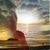 Bill McCorquodale's profile image