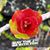 Rose Browne's profile image