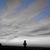 David Douglas's profile image