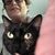 Jessica Lermond's profile image