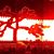 Martin L Claggett's profile image