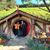 Nancy Scherrer Berrier's profile image