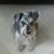 Eddy Gonzalez's profile image