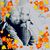 Penny Smith's profile image