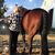 Kathi Tendrup Michel's profile image