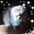 Andrea Fisher's profile image