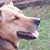 Jan Shaw's profile image