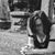 Meredith Howe's profile image
