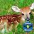Marsha Givens's profile image