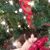 Christi Hillesheim's profile image