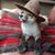Tracy Turner's profile image