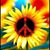 Bonnie Butterfield- Hotchkiss's profile image