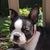 Patti Deen's profile image