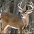 BillandKrista Brown's profile image