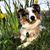 Shaylyn Sprout's profile image