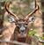 Bay Locklear's profile image