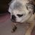 Janet Lee Macdougall Cafferky's profile image