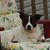 Sherry Halas's profile image
