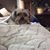 Sandie Shumberger's profile image