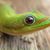 Barbara LeRoy's profile image