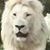 Paul Mike Muncy's profile image