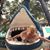 Carole Ann's profile image