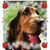 Tresa Byrd's profile image