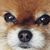 James Deyoe-Laux's profile image