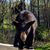 Susan Moore's profile image