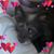 Patty Burns Schramm's profile image