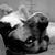 Amy Turim's profile image