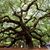 Lori Quarles's profile image