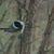Gerri Sweet's profile image
