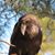 Dan Corvin's profile image