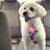 Debbie Murphy's profile image