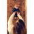 Brittany Page Nelsen's profile image